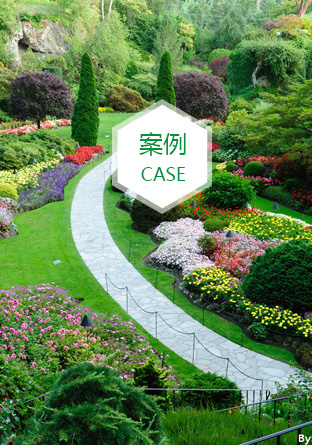 室外假山