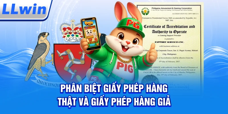 Phân Biệt Giấy Phép Hàng Thật Và Giấy Phép Hàng Giả